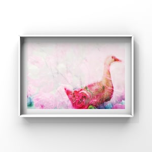 Geese Series, Limited Analog Art Photography, Mixed Media