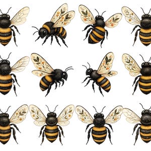 Puede incluir: Una colección de doce ilustraciones de abejorros dispuestas en una cuadrícula. Cada abeja presenta un abdomen con rayas negras y amarillas, cabeza y tórax negros, y alas translúcidas, algunas decoradas con delicados motivos florales.
