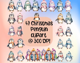 Aquarel winter pinguïn clipart voor kerst - bundel van 47 transparante pngs voor ornamenten, stickers, bekers, shirts, kerstkaarten