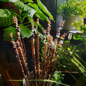 May include: A collection of copper-wrapped wands adorned with colorful gemstones. The wands are arranged in a glass container, with the copper wire spiraling around the wooden shafts. The gemstones include various colors and shapes, adding a touch of natural beauty.