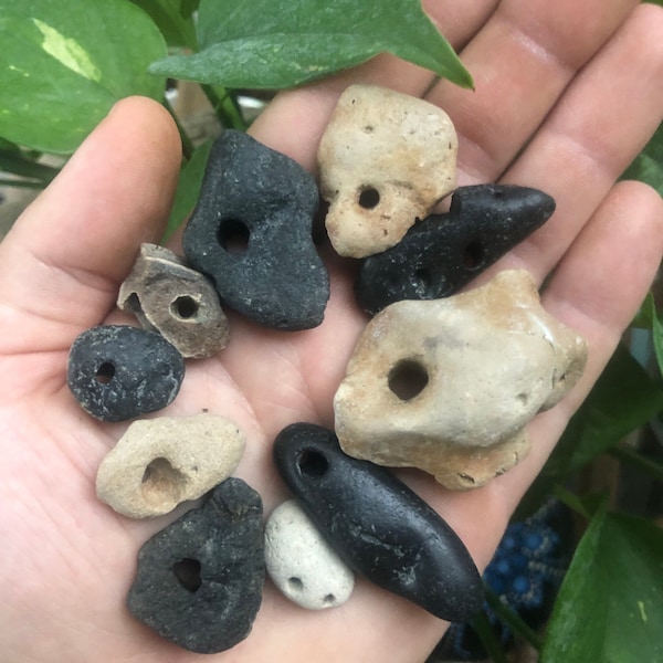 20 assorted natural hag stones