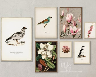 Vintage Gallery Wall Art printable bundle, Vintage Birds and Flowers illustrations with soft earth tone pastel colors, trendy digital poster