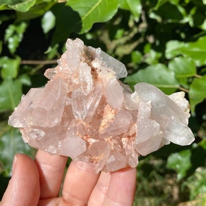 Himalayan Quartz Crystal Cluster