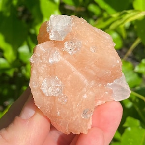 Cute Apophyllite and Stilbite Zeolite Crystal Cluster