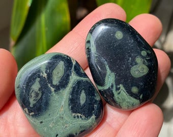 May include: Two polished stones with a dark green and black pattern. The stones are oval-shaped and smooth, with a marbled appearance. The stones are held in a hand, with green foliage in the background.