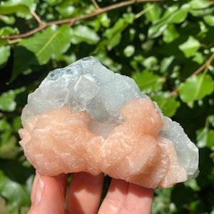 Apophyllite and Stilbite Zeolite Crystal Cluster, High Quality Apophyllite