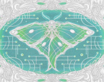 Specimen Risograph Print