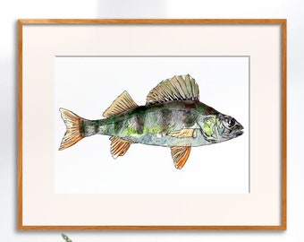 Printable wall art, fish perch as watercolor painting, digital product, wall decoration home decoration, animal art, gift