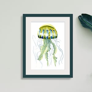 Druckbare Qualle als Aquarell-Malerei, digitales Produkt, Wandbild, Tierkunst, Meerestier
