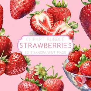 32 Strawberry Clipart Bundle Set, High quality Watercolor clipart illustrations, Strawberries clip-art Transparent PNG Instant Digital