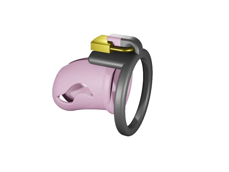 3D Printable Files Entry Level Chastity Cage STL - Etsy UK