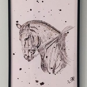 Disegno a inchiostro di china "Cavallo" su carta a grana fine, disegno originale del cavallo 27,9 cm × 21 cm, incorniciato
