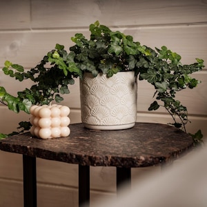 May include: A potted plant with green leaves in a white ceramic planter with a decorative pattern. The plant is sitting on a dark brown table with a candle.