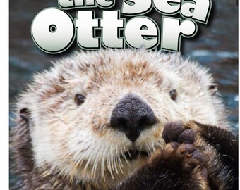 See the Sea Otter , book , ebook , children’s book , early reading , sea animals , reading