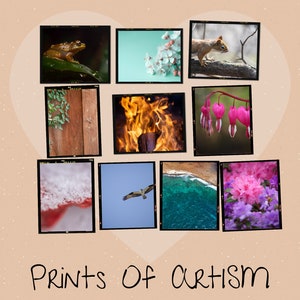 Print pictures of nature for your journal