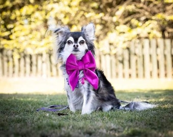 Handmade fuschia / hot pink velvet sailor dog bow