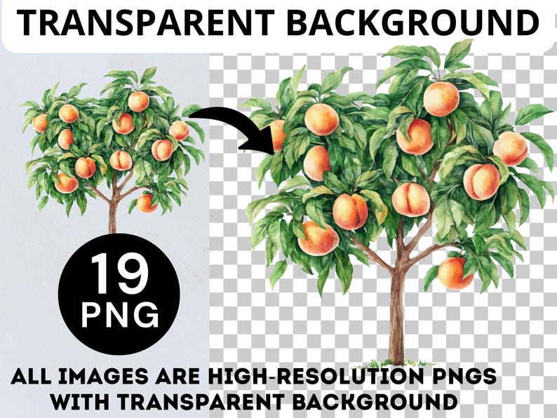 Fruit Trees Clipart Bundle Hand Painted Watercolor Citrus Peach Lemon ...