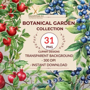 Botanische Gartensammlung – 31 PNG Obst- und Blumen-Cliparts | Aquarell Granatäpfel, Beeren, Blüten