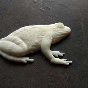 Frog, Toad resin applique, furniture appliques, Frog overlay, toad onlay, animal moldings, resin creatures
