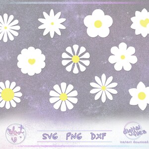 Madeliefjes Svg-bundel, Wildflower Svg, Daisy Png, Dxf-bestanden, bloemen illustratie, schattige bloemen clipart, botanische snijbestanden, Cricut, silhouet