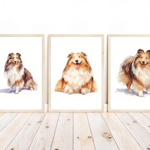 Shetland Sheepdog Wall Art, Shetland Sheepdog Decor, Watercolor Sheltie Art, Sheltie Puppy Art, Puppy Print Art, Sheltie Illustration
