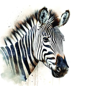Zebra watercolor clipart, ai art print, instant download for print on demand and other crafts - 12 High Quality JPGs of safari animals