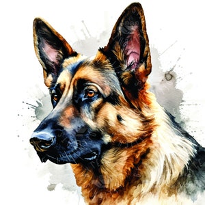 Puede incluir: Una pintura de acuarela de un perro pastor alemán con pelaje marrón y negro. El perro está mirando hacia la izquierda y tiene una expresión seria. El fondo es gris claro con salpicaduras de pintura blanca.