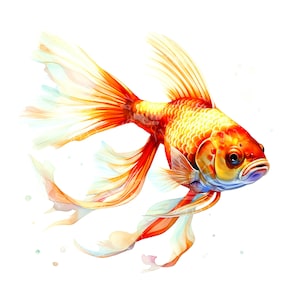 Watercolor clipart of Goldfish, ai art print, instant download for print on demand and other crafts - 12 High-Quality JPGs of fishy art