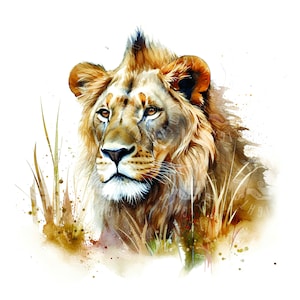 Lion watercolor clipart, ai art print, instant download for print on demand & other craft projects - 12 High Quality JPGs of safari animals