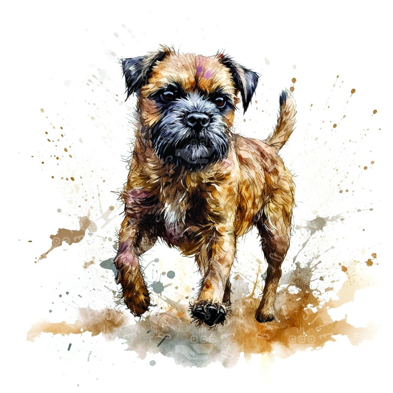 Border Terrier Watercolor Clipart, Ai Art Print, Instant Download for