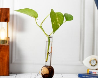 One Glass Container With Stylish Wooden Stand