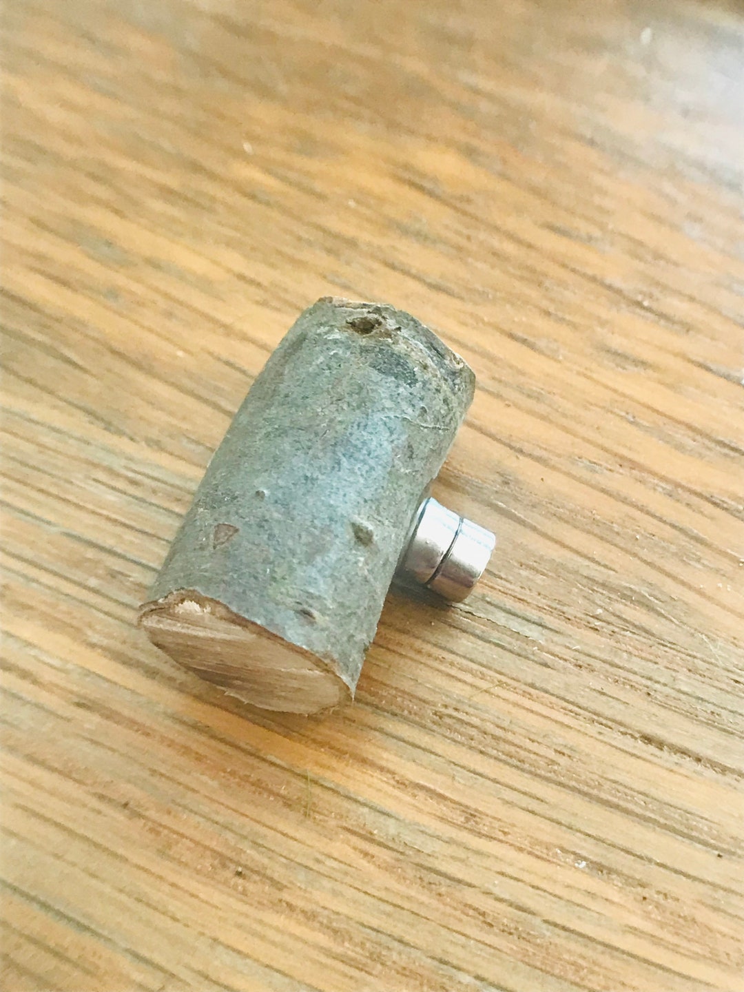 Natural Log Ledge/shelf for Reptile Enclosures Etsy Australia