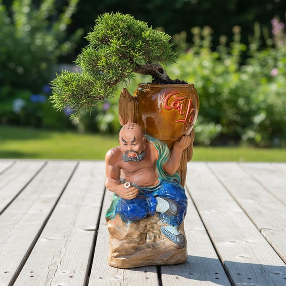 drzewko szczęścia bonsai Drzewko Szczęścia