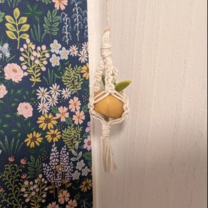 May include: A white macrame plant hanger with a small, yellow, round fruit hanging inside. The hanger is hanging from a white wall with a floral pattern.