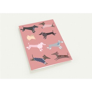 10er-Pack Umweltfreundliche Grußkarten mit Umschlägen |  10.5 x 14.5" | Schnauzer | Dackel | Dackel | Spitz