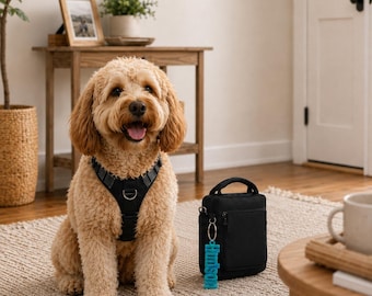 Etiqueta personalizada impresa en 3D para bolso de paseo de perro, etiqueta personalizada para bolso de perro, etiqueta para bolsa de golosinas para perros, etiqueta para accesorios de perro