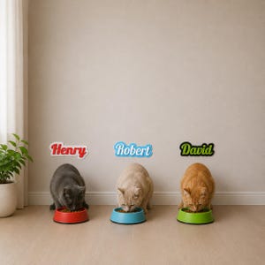 May include: Three cats eating from individual bowls. A gray cat eats from a red bowl under a sign reading Henry. A light tan cat eats from a blue bowl under a sign reading Robert. An orange cat eats from a green bowl under a sign reading David.