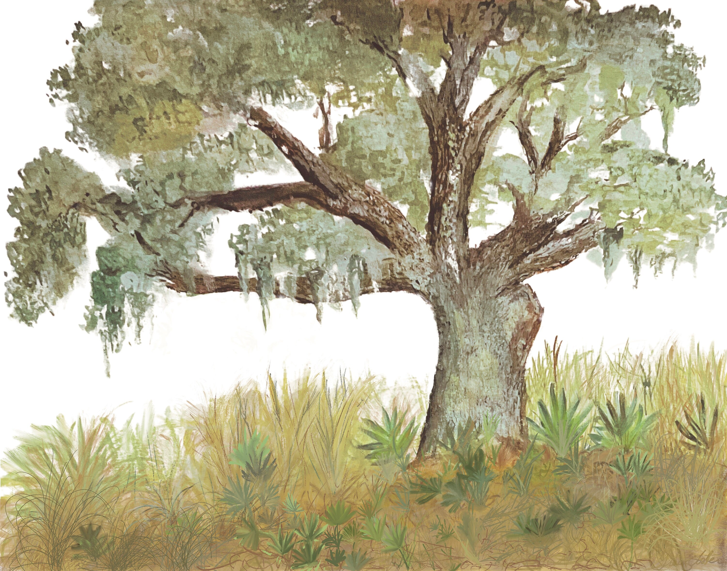 Live Oak Art, Landscape Instant Download, Pastel Eclectic Decor, Office ...