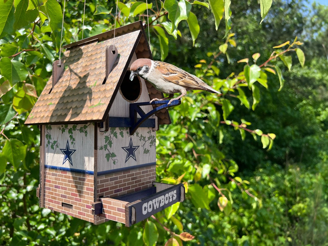 NFL Birdhouse Etsy