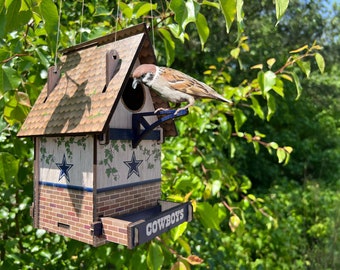 NFL Birdhouse