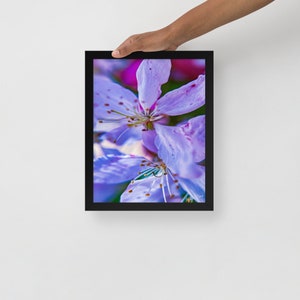 Cordova in Lavender - Matte Finish - 11&quot; x 14&quot; Framed - Memphis - Wall Decor - Photography Prints - Wall Art -Flowers - Floral Decor