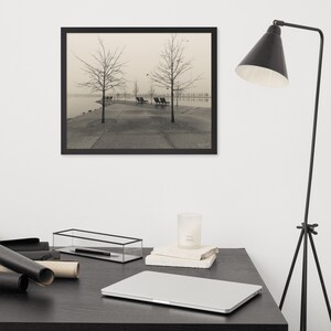 Laid Back on Shelby Farms - Matte Finish - 16&quot; x 20&quot; Framed - Memphis - Wall Decor - Photography Prints - Wall Art
