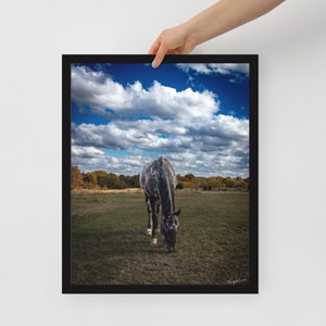 The Horse of Heavenly Shelby Farms - Matte Finish - 16&quot; x 20&quot; Framed - Memphis - Wall Decor - Photography Prints - Wall Art - Horses