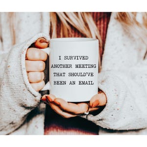 Funny Work Mug: Sarcastic Coworker Gift - Survived Another Meeting