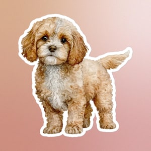 Cavapoo Sticker,Welpe,Hund, beige, süß, Hundeliebhaber, Haustier, kawaii, bezaubernd, Pudelmischung, Hündchen, Laptop, Notizbuch, Kunst, Planer, niedlicher Welpe, Hundepapa, Hundemama