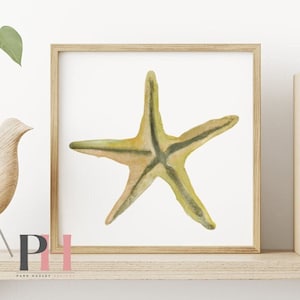 Starfish Wall Decor Neutral Coastal Home Beach Inspired Modern Minimalist Art | Woven Starfish Illustration - Art Print or Canvas