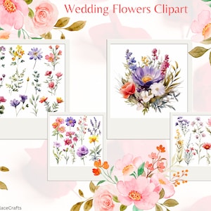 20 Wild Floral Clipart - Watercolor Wild Flowers - Floral Clipart - Premade Clipart - Wedding Clipart - Spring Clipart - Wild Flowers