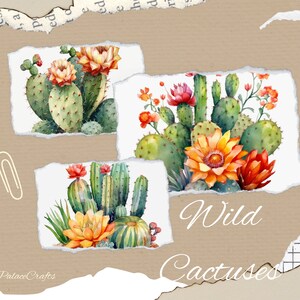Woestijn Cactussen PNG-formaat -Aquarel Cactus Clipart - Instant Download - Commercieel gebruik - Cadeaustempel - Postkaarten - Woestijnbloemen