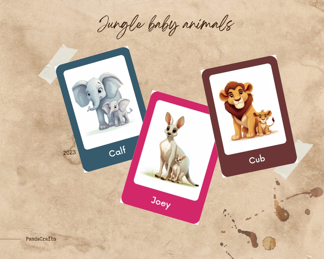 JUNGLE BABY ANIMALS • 30 Editable Montessori Cards • Flash Cards ...