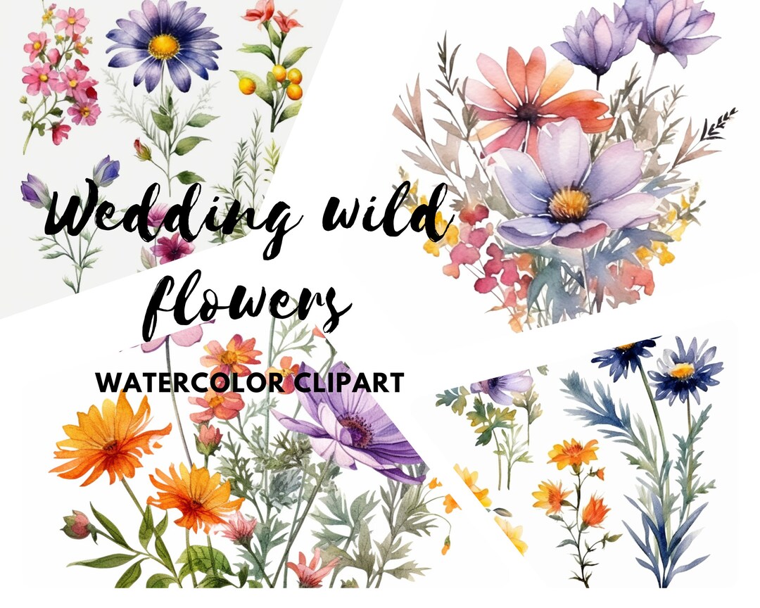 Wild Floral Clipart - Watercolor Wild Flowers - Floral Clipart ...